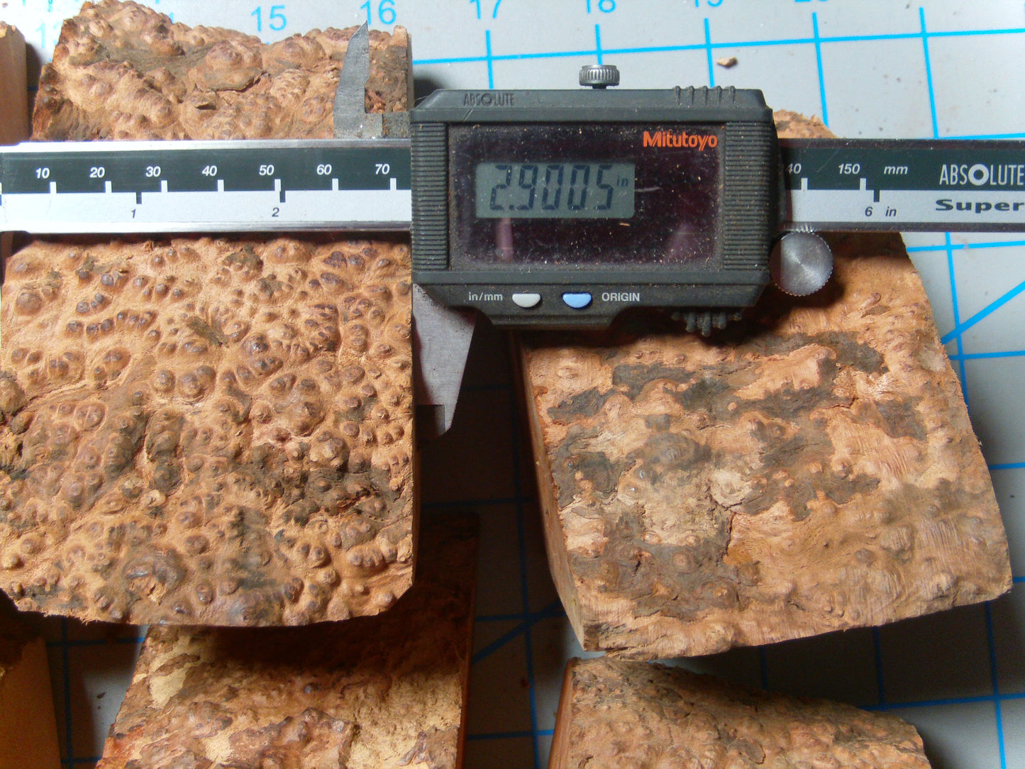 15 Algerian Briar Blocks Grade 1 Medium Lot 6