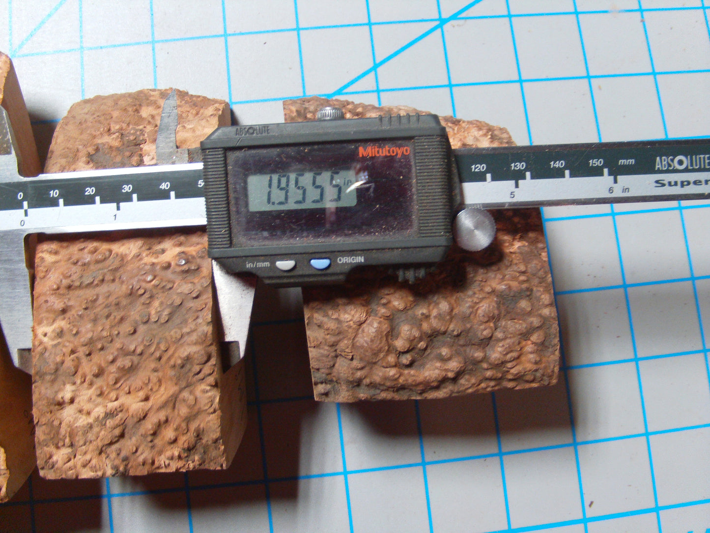 5 Grade 1 Mini Algerian Briar Blocks Lot 5