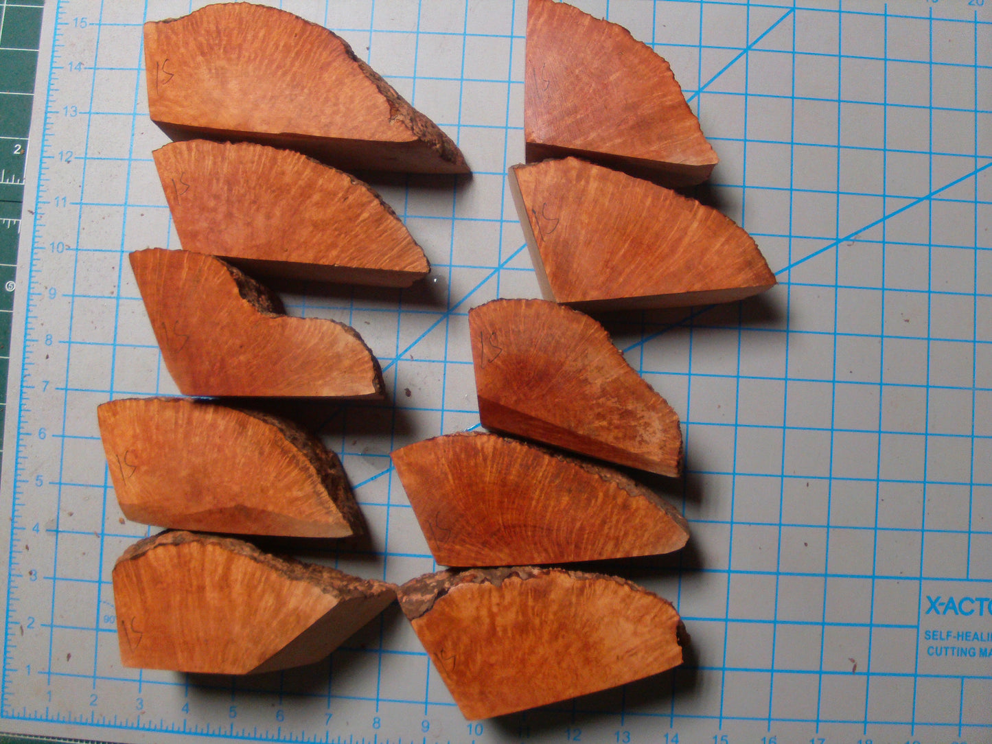 10 Algerian Briar Blocks Grade 1 Small Lot 3