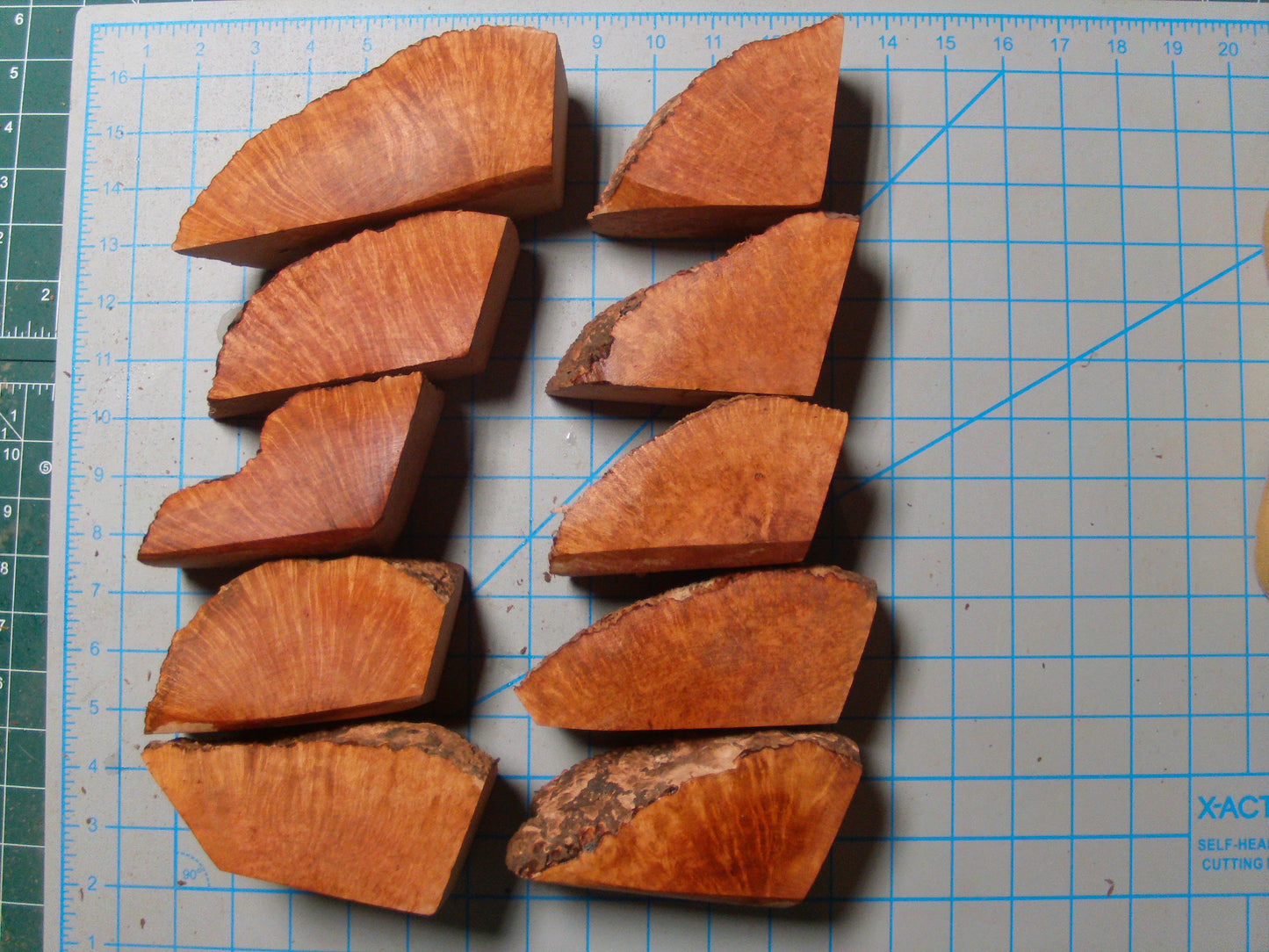 10 Algerian Briar Blocks Grade 1 Small Lot 3