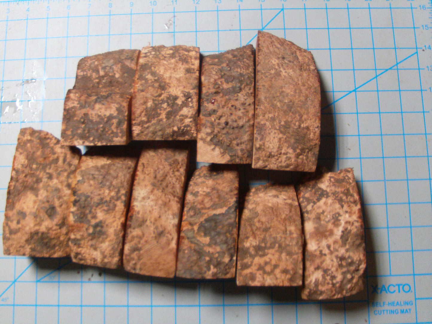 10 Algerian Briar Blocks Grade 1 Small Lot 3