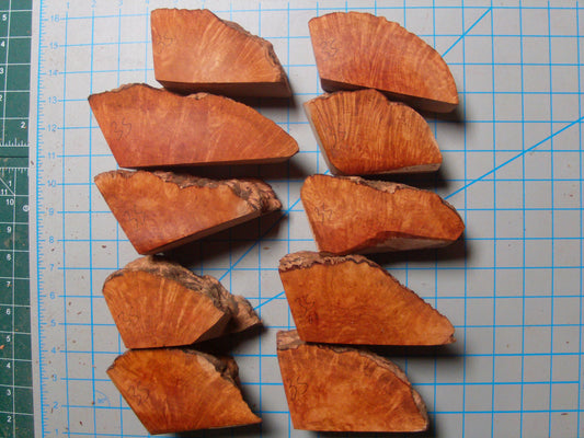 10 Algerian Briar Block Grade 3 Small Lot 2