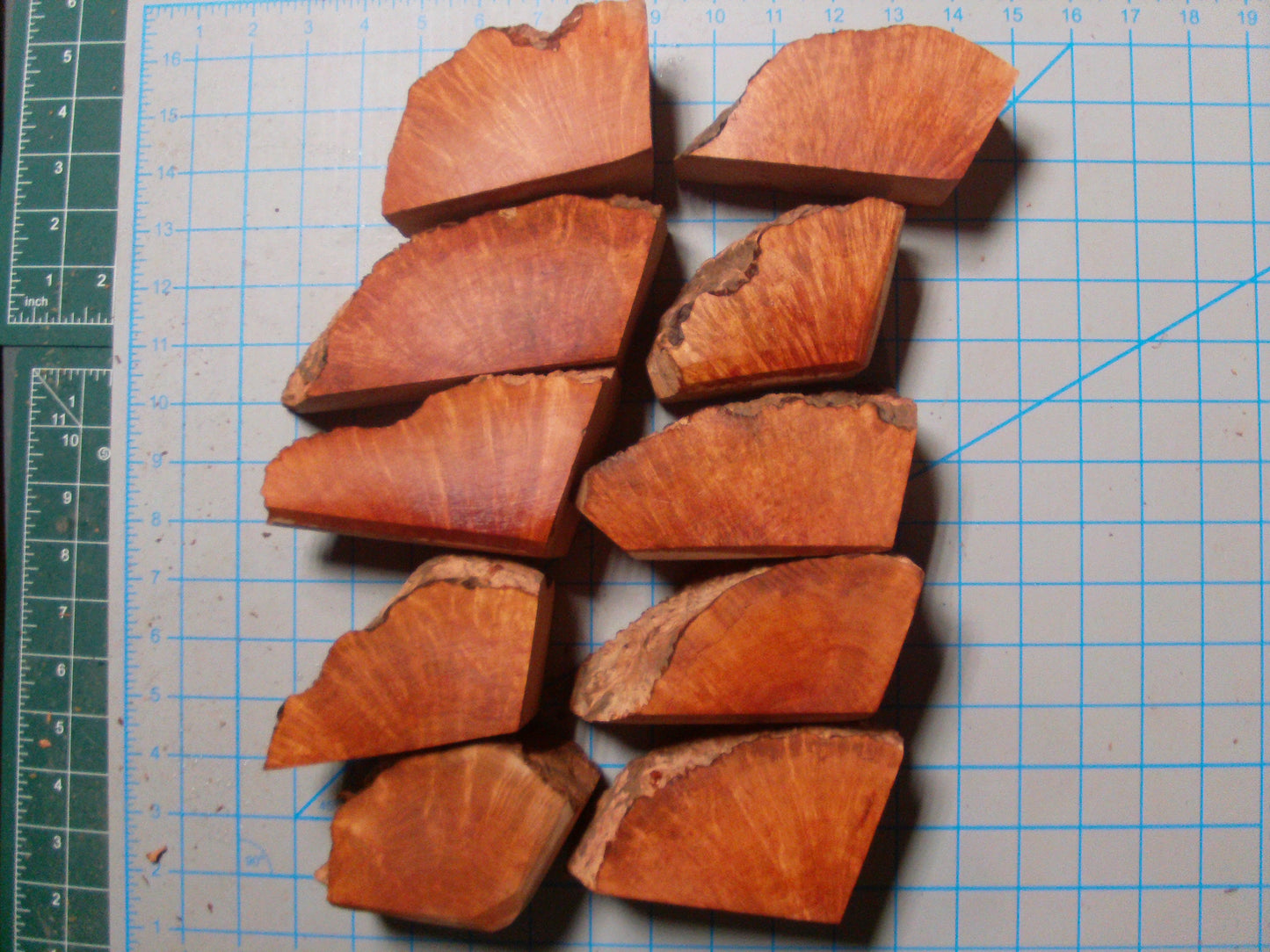 10 Algerian Briar Block Grade 3 Small Lot 2