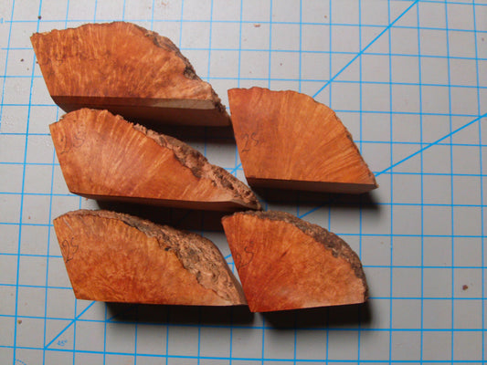 5 Grade 2 Small Algerian Briar Blocks Lot 5