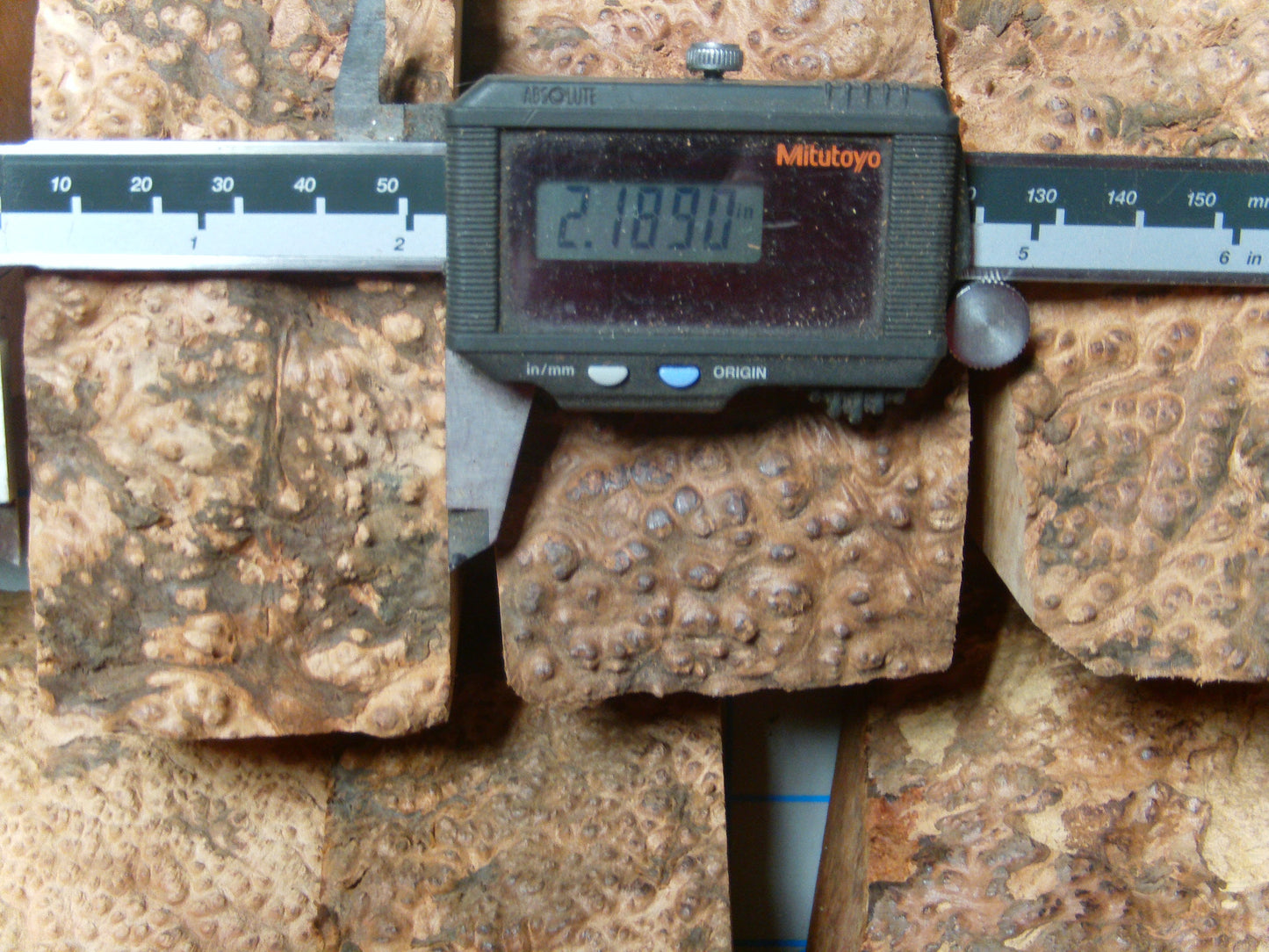 15 Algerian Briar Blocks Grade 1 Medium Lot 6