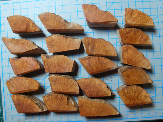 20 Algerian Briar Blocks Grade 2 Size Mini lot 9