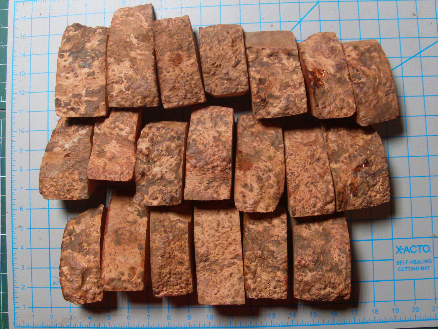 20 Algerian Briar Blocks Grade 2 Size Mini lot 9