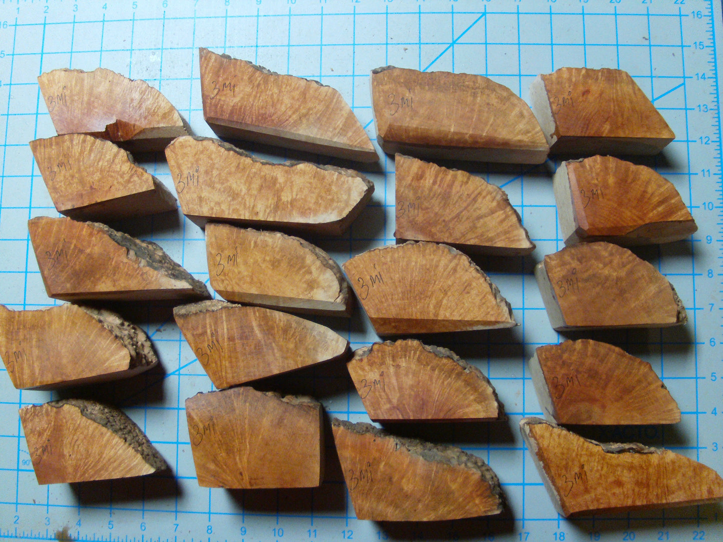 20 Algerian Briar Blocks Grade 3 Size Mini lot 11