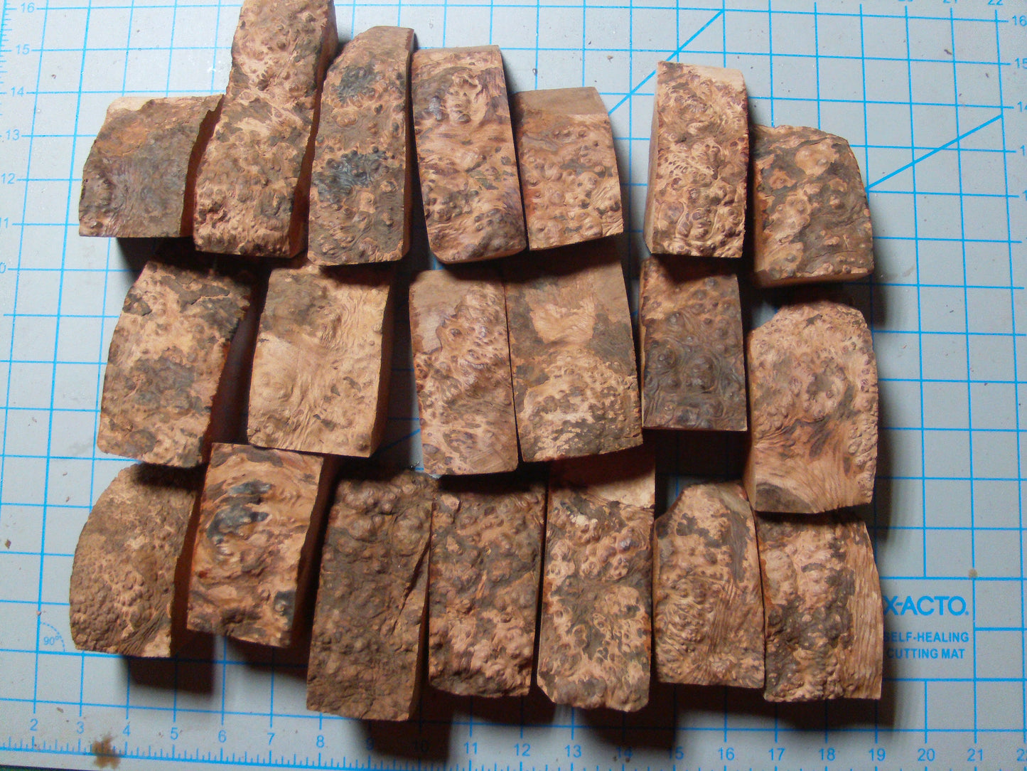 20 Algerian Briar Blocks Grade 3 Size Mini lot 11