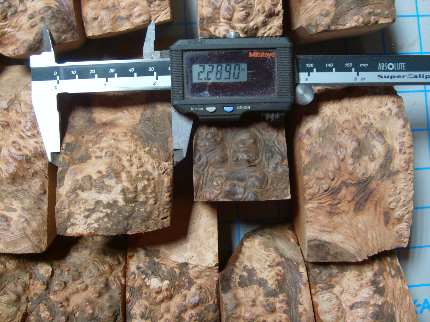 20 Algerian Briar Blocks Grade 3 Size Mini lot 11