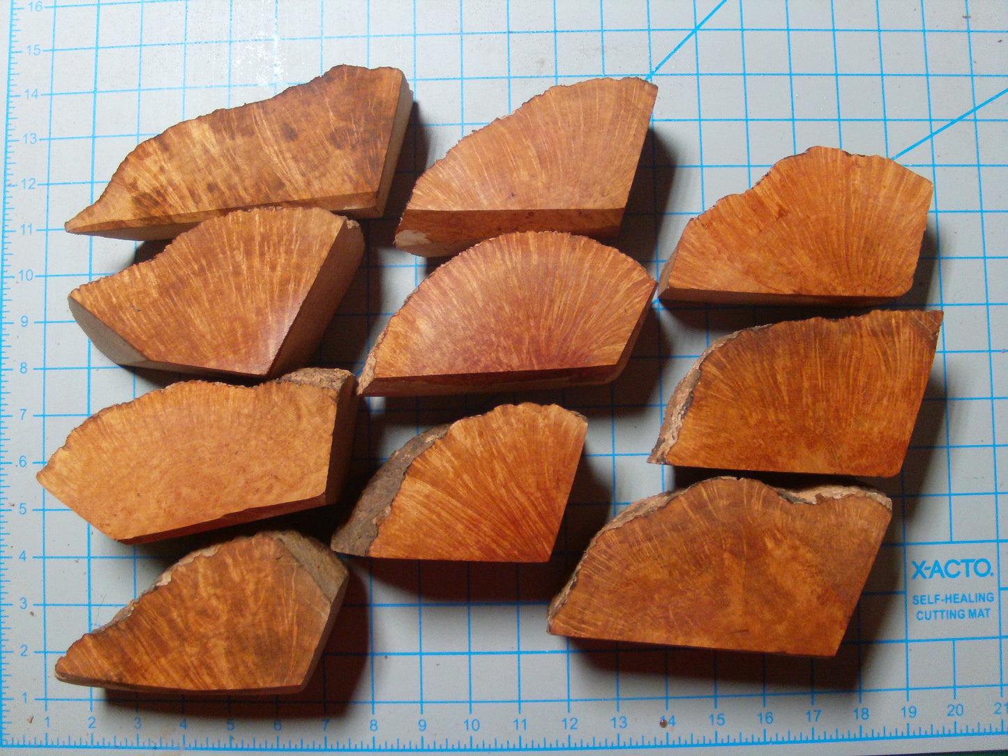 10 Grade 1 Medium Algerian Briar Blocks Lot 12