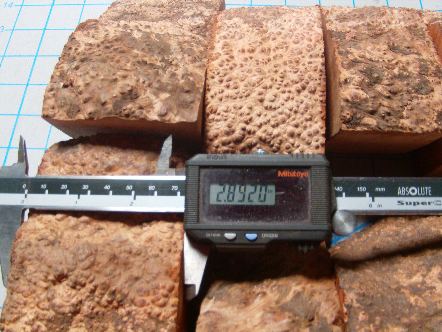 10 Grade 1 Medium Algerian Briar Blocks Lot 12