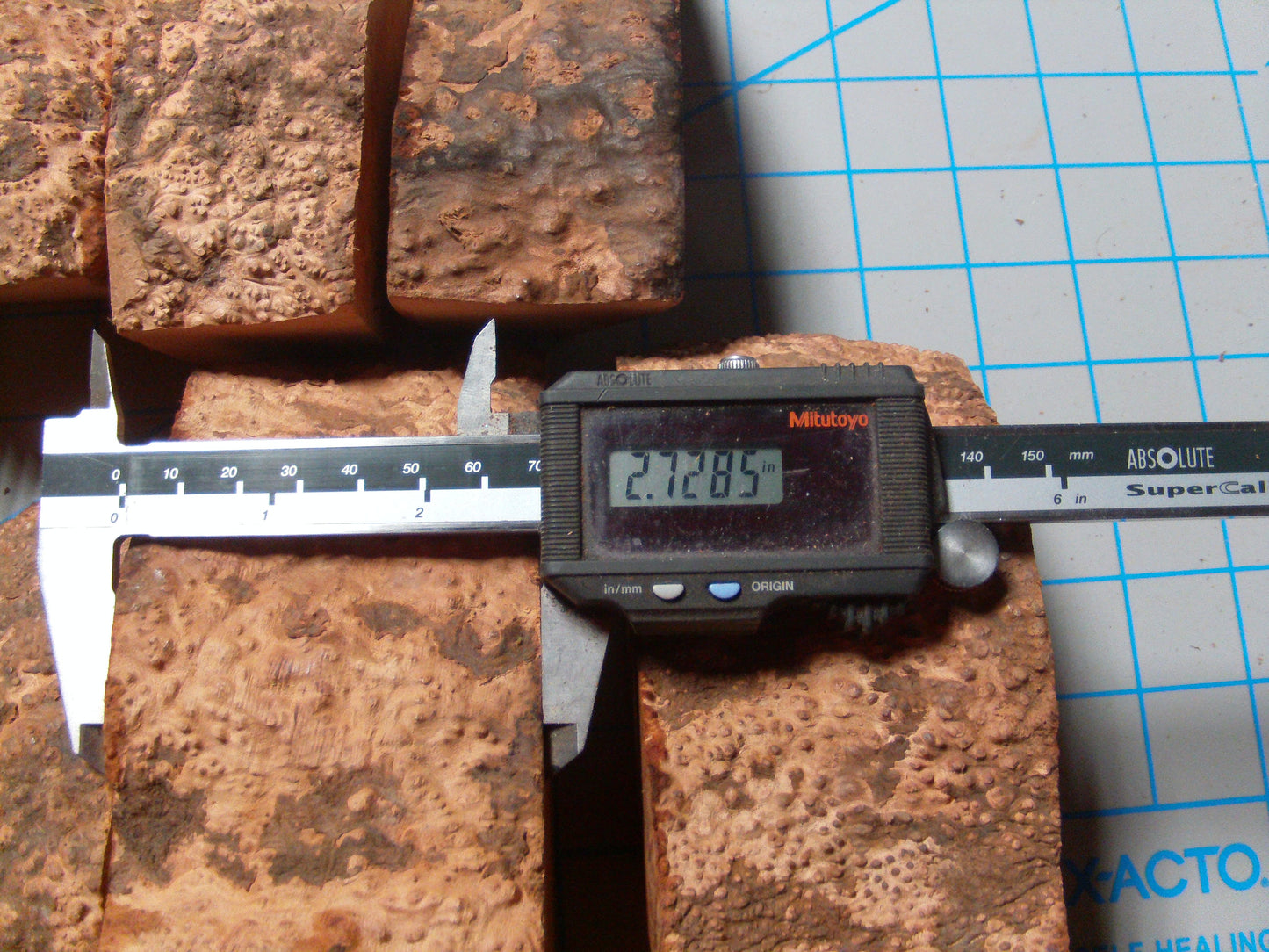 10 Grade 1 Medium Algerian Briar Blocks Lot 12