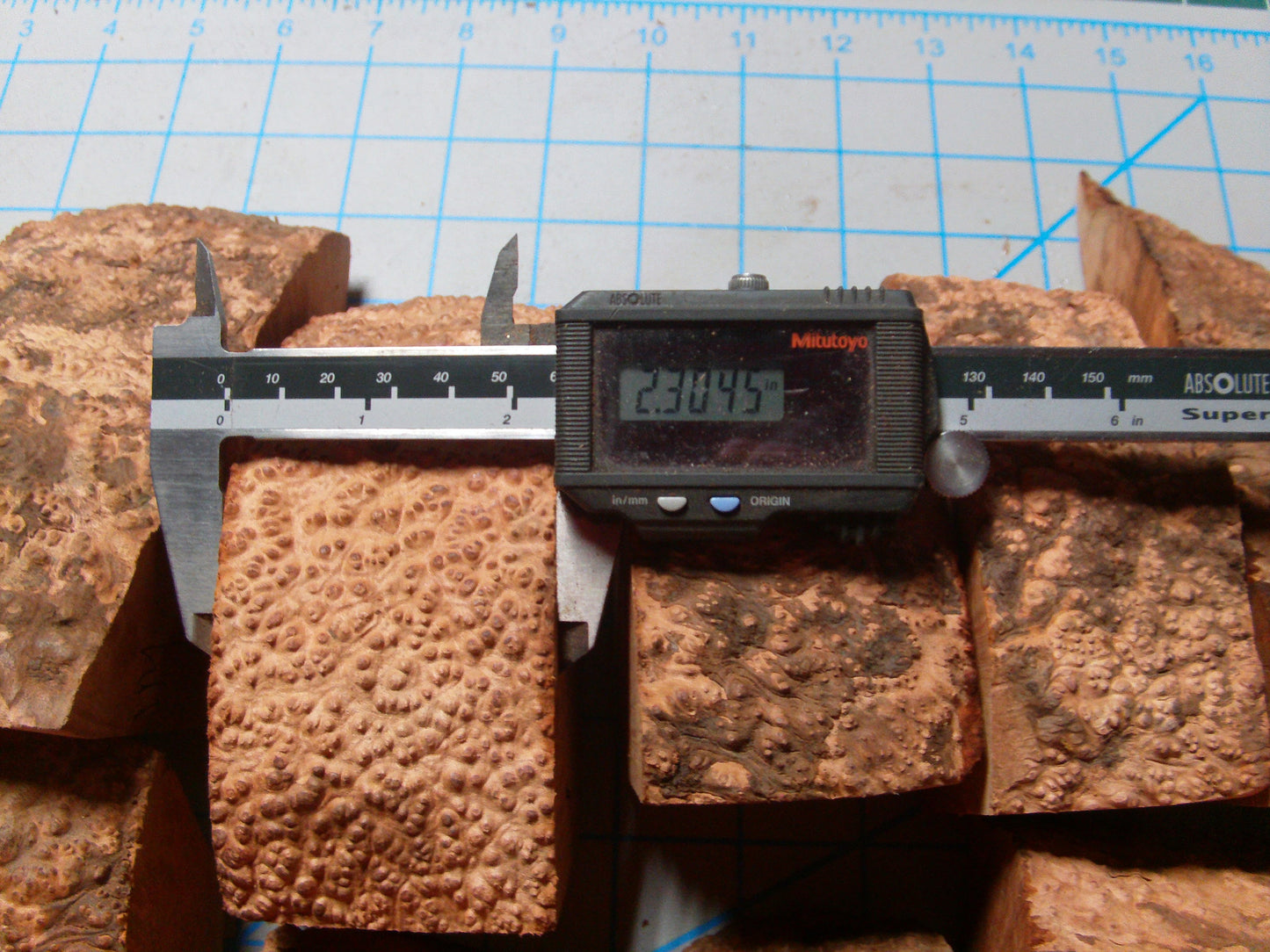 10 Grade 1 Medium Algerian Briar Blocks Lot 12