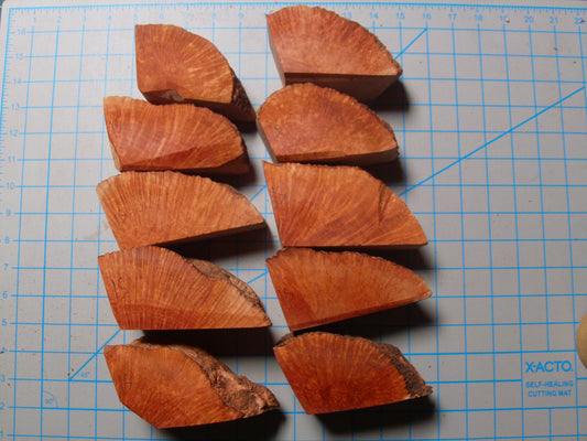 10 Algerian Briar Blocks Grade 1 Small LOT 1