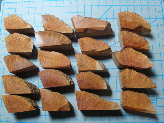 20 Algerian Briar Blocks Grade 1 Size Mini lot 4