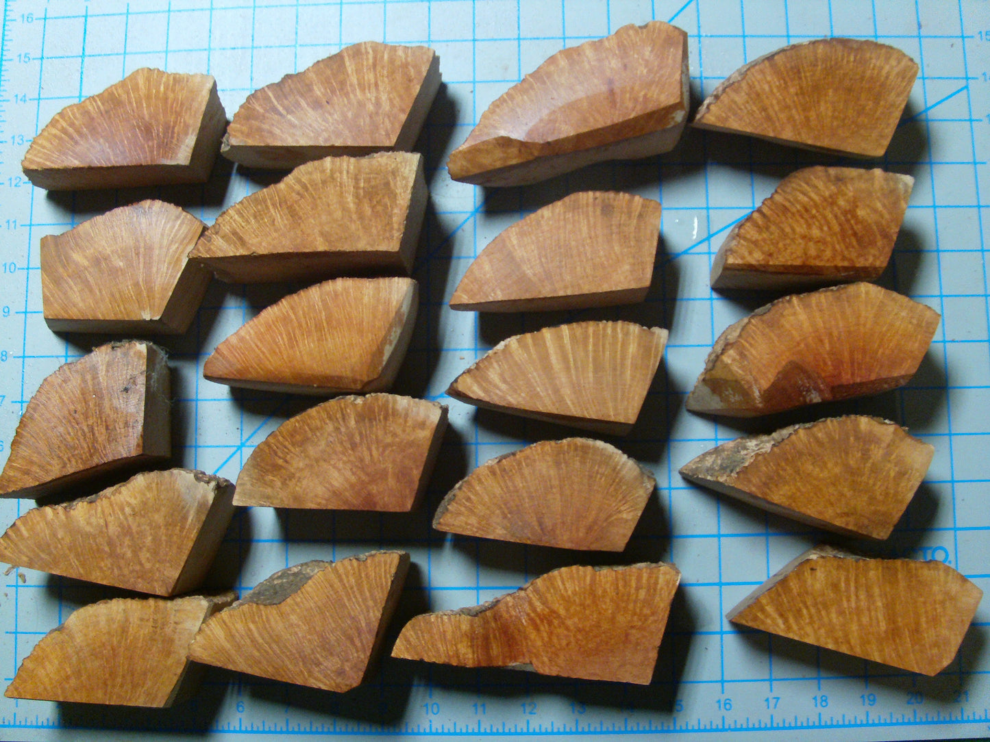 20 Algerian Briar Blocks Grade 1 Size Mini lot 4