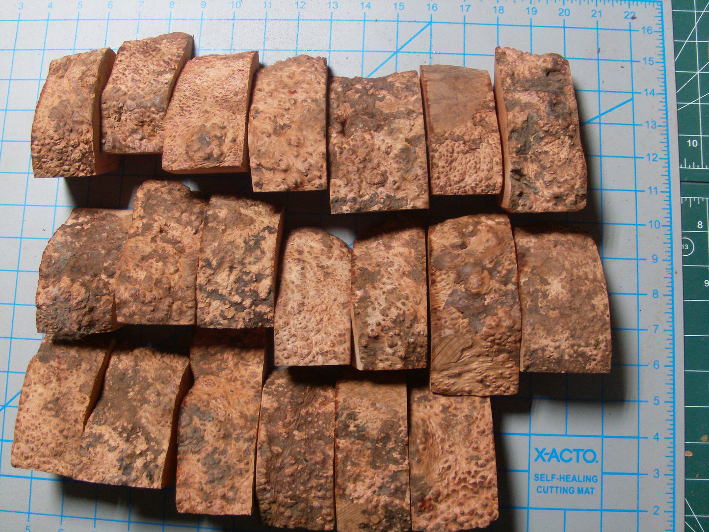 20 Algerian Briar Blocks Grade 1 Size Mini lot 4