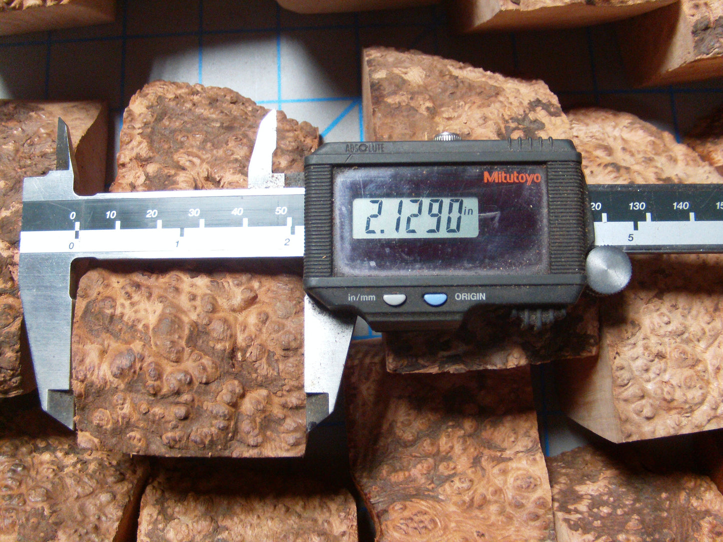 20 Algerian Briar Blocks Grade 1 Size Mini lot 4