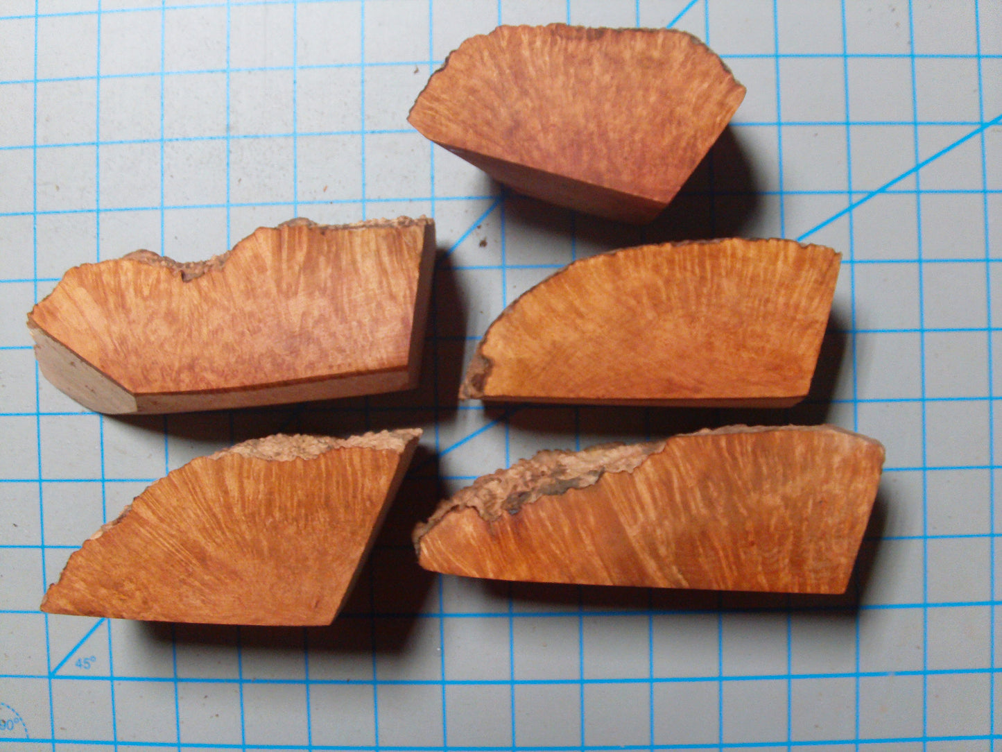 5 Grade 1 Mini Algerian Briar Blocks Lot 5