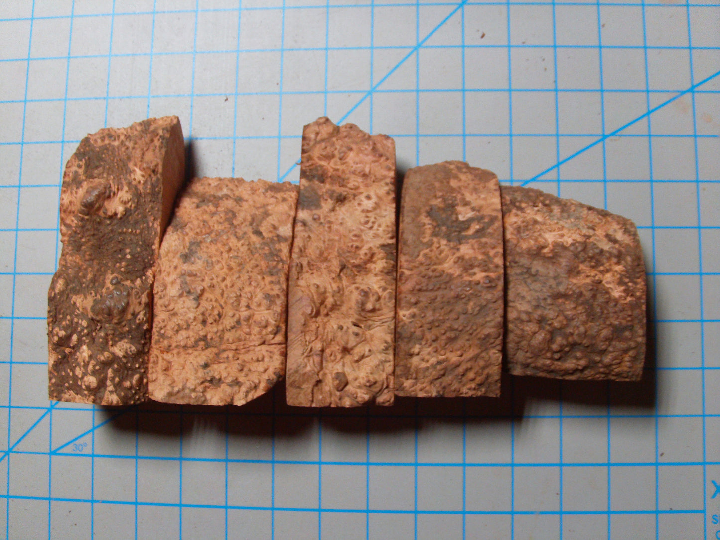 5 Grade 1 Mini Algerian Briar Blocks Lot 5