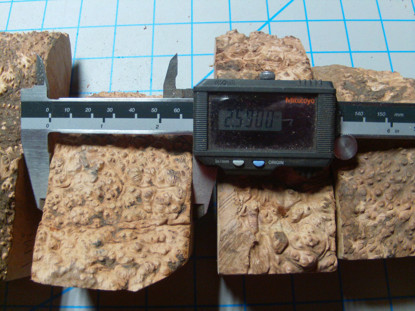 5 Grade 1 Mini Algerian Briar Blocks Lot 5