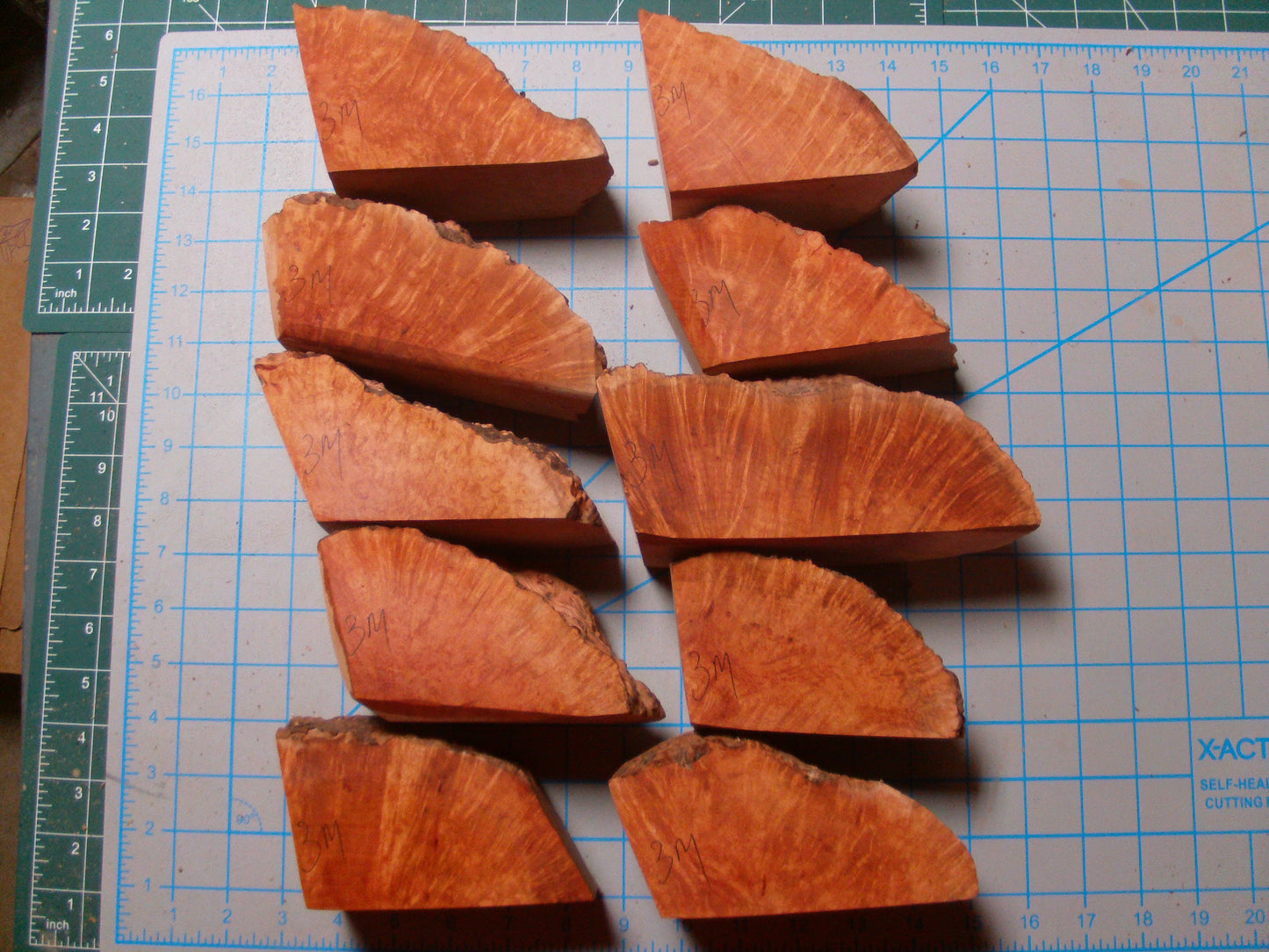 10 Grade 2 Medium Algerian Briar Blocks Lot 8