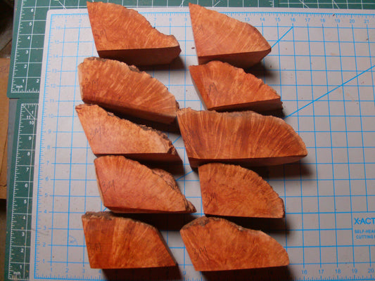 10 Grade 2 Medium Algerian Briar Blocks Lot 8