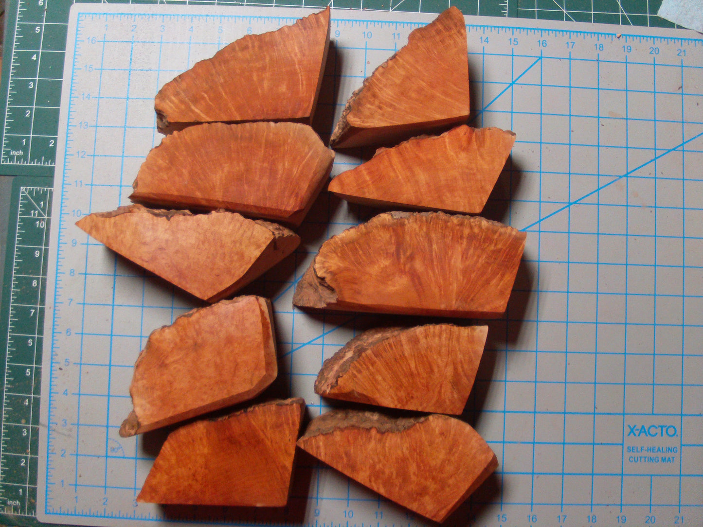 10 Grade 2 Medium Algerian Briar Blocks Lot 8