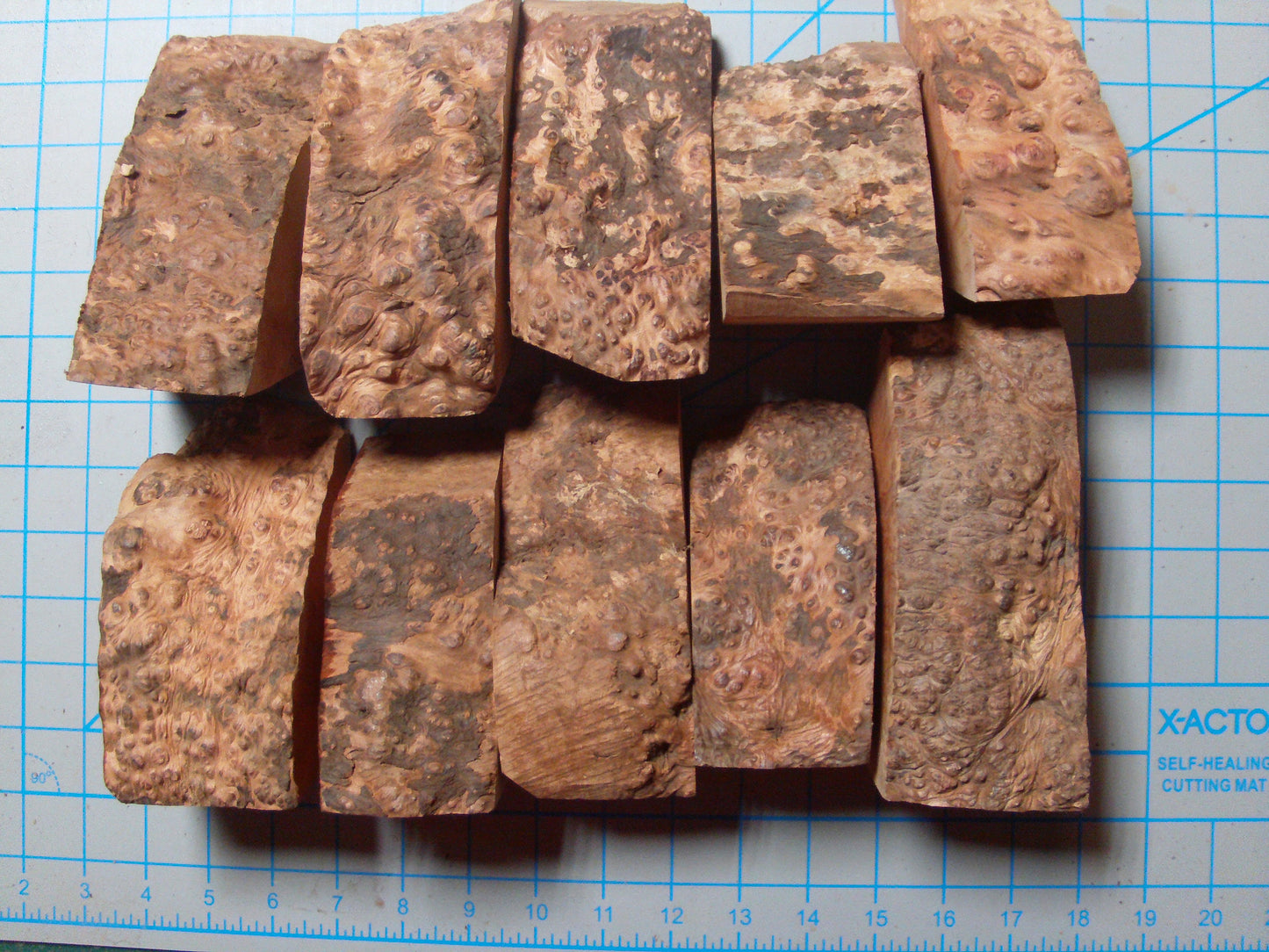 10 Grade 2 Medium Algerian Briar Blocks Lot 8