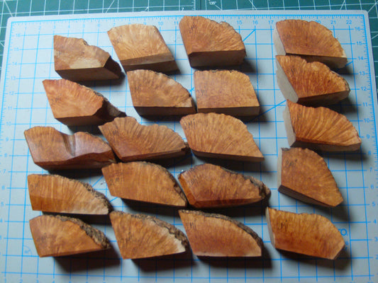 20 Grade 2 Mini Algerian Briar Blocks Lot 2