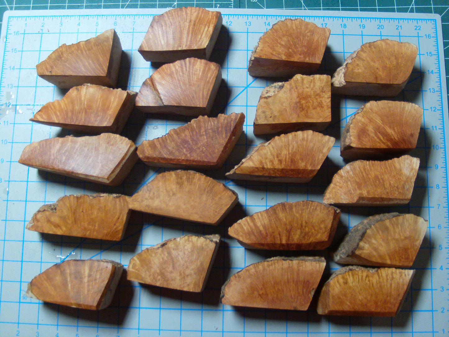 20 Grade 2 Mini Algerian Briar Blocks Lot 2