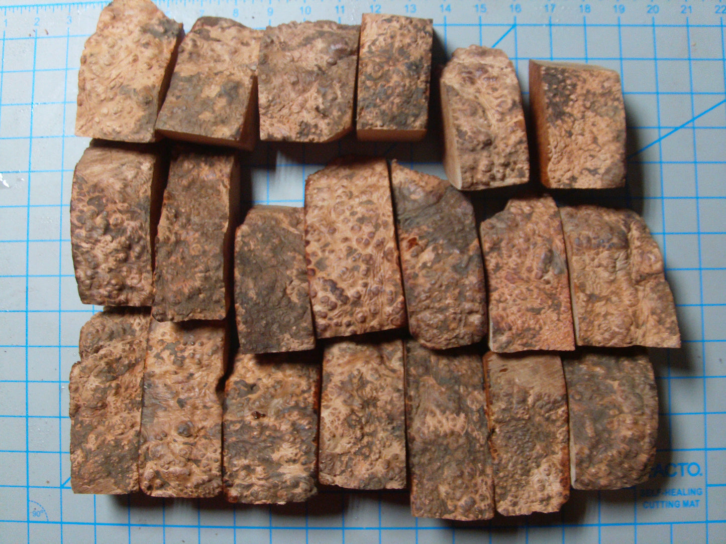 20 Grade 2 Mini Algerian Briar Blocks Lot 2