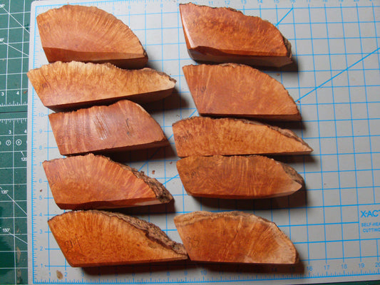 Lot Of 10 Long Algerian Briar Blocks Assorted Grades And Sizes lot 9