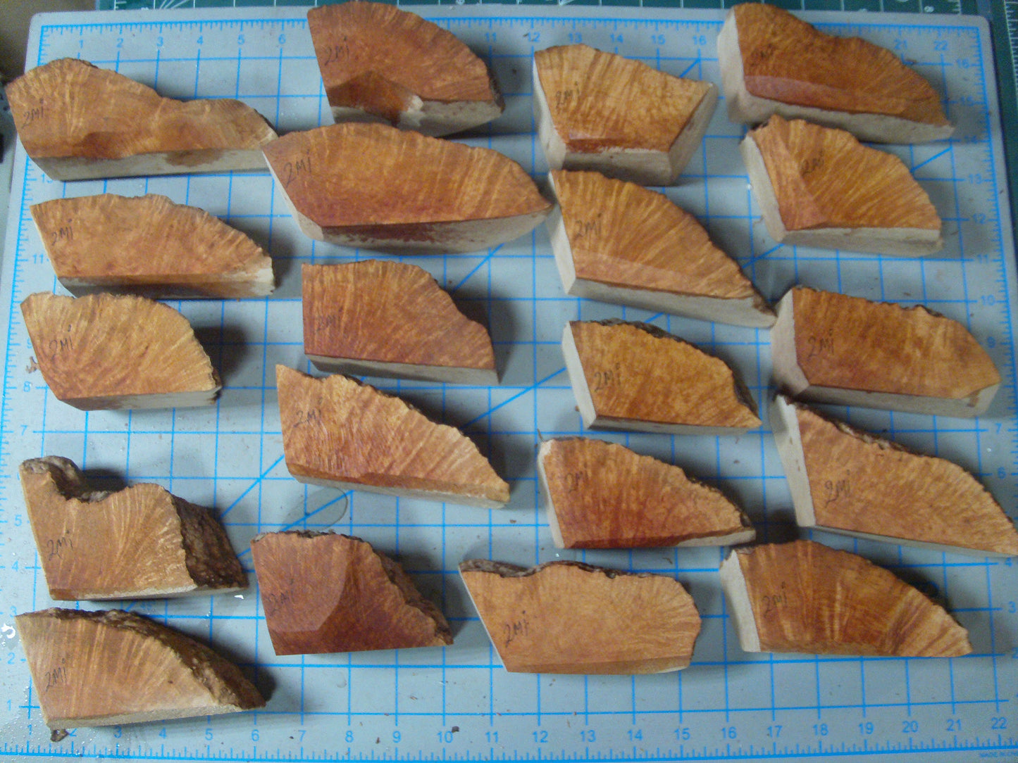 20 Grade 2 Mini Algerian Briar Blocks Lot 2