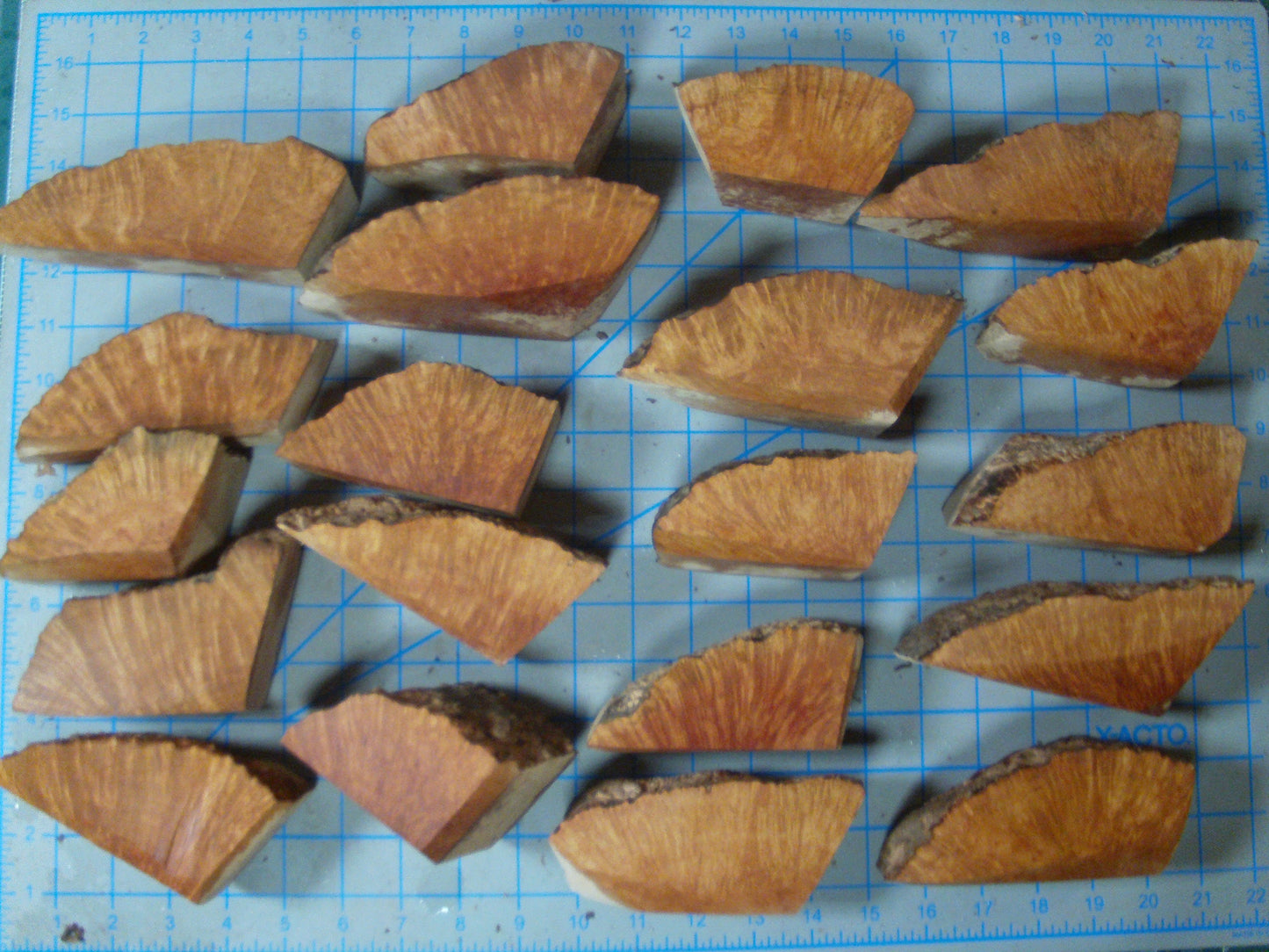 20 Grade 2 Mini Algerian Briar Blocks Lot 2