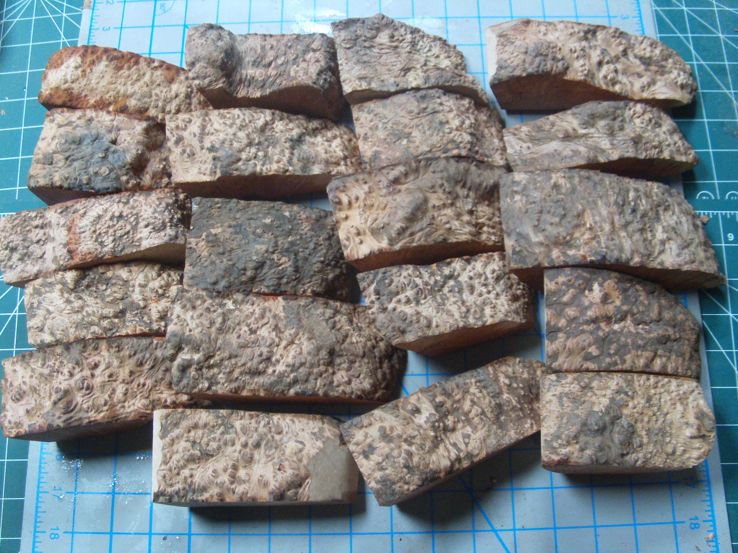 20 Grade 2 Mini Algerian Briar Blocks Lot 2