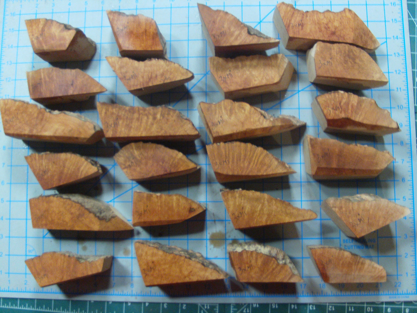 24 Algerian Briar Blocks Grade 3  X-Mini  Lot 1