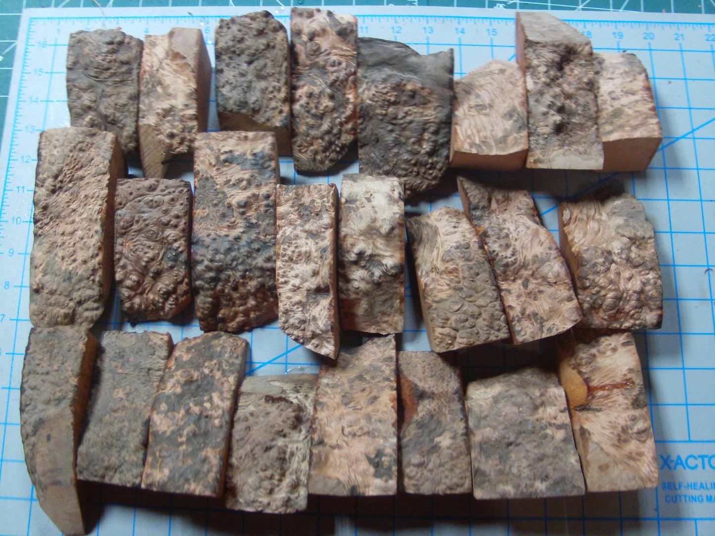 24 Algerian Briar Blocks Grade 3  X-Mini  Lot 1