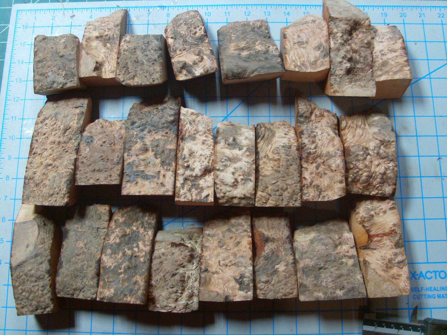 24 Algerian Briar Blocks Grade 3  X-Mini  Lot 1