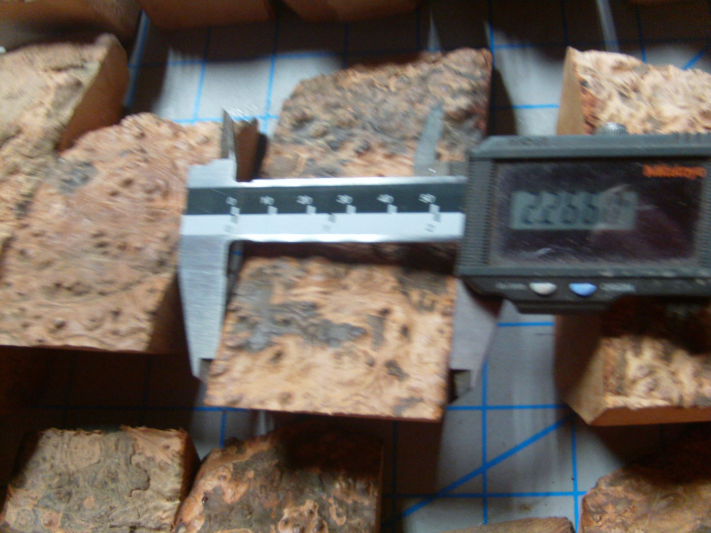 24 Algerian Briar Blocks Grade 3  X-Mini  Lot 1