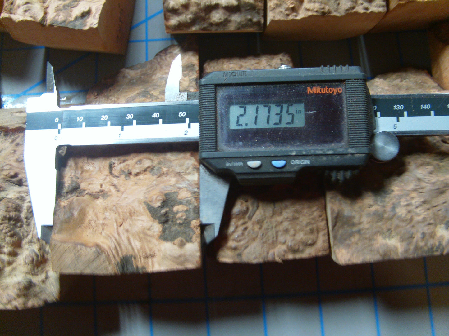 24 Algerian Briar Blocks Grade 3  X-Mini  Lot 1