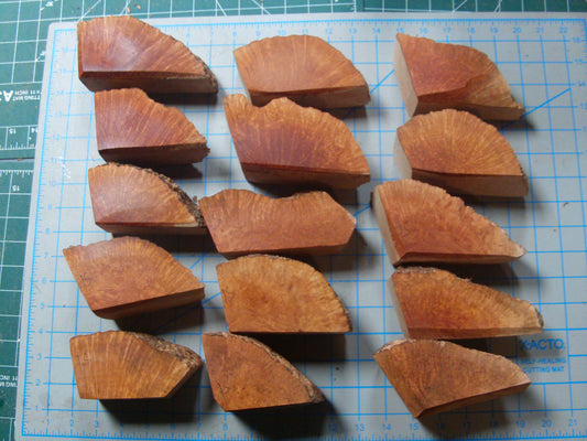 15 Grade 1 Small Algerian Briar Blocks Lot 2