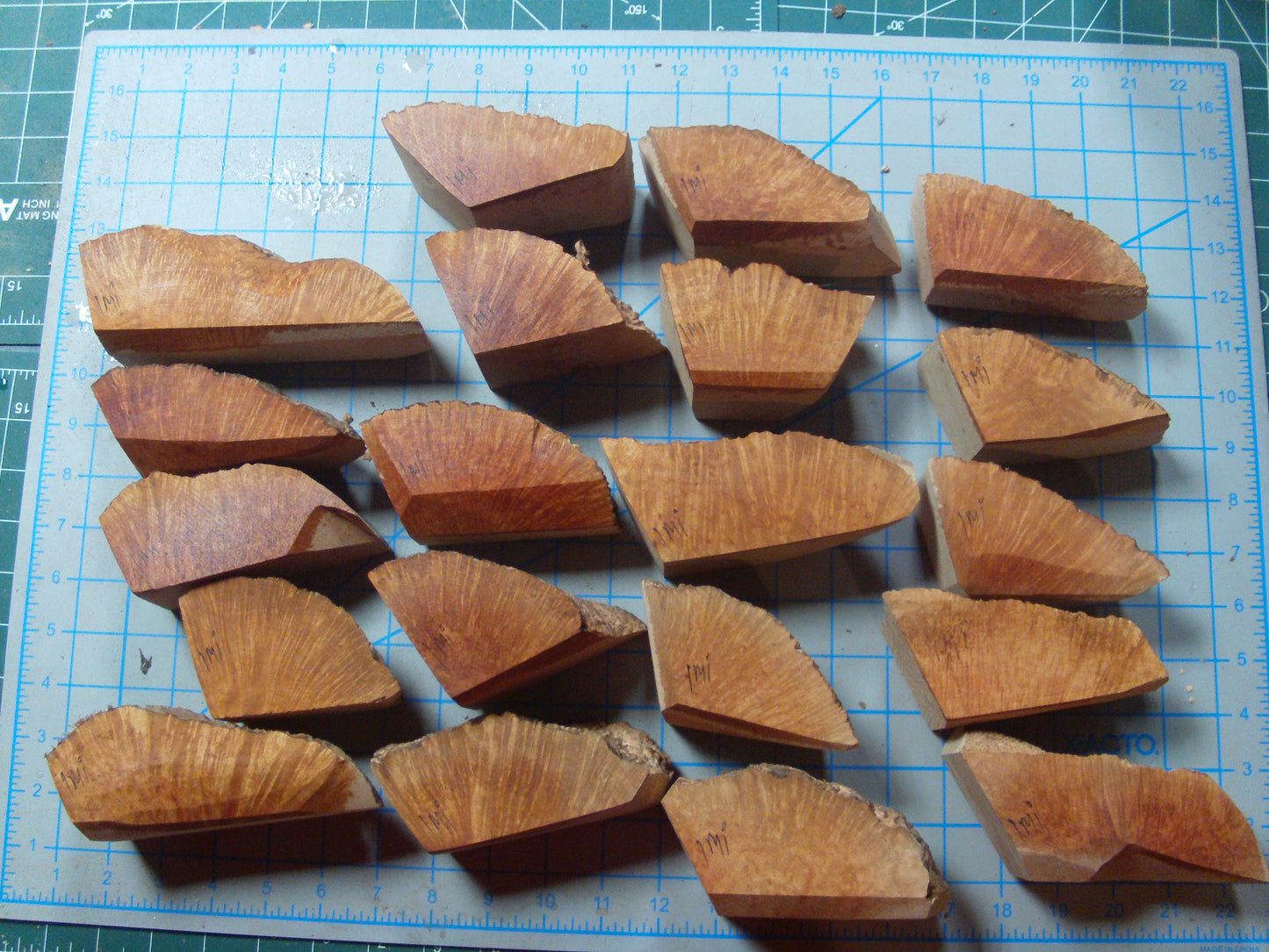20 Algerian Briar Blocks Grade 1 Size Mini lot 4