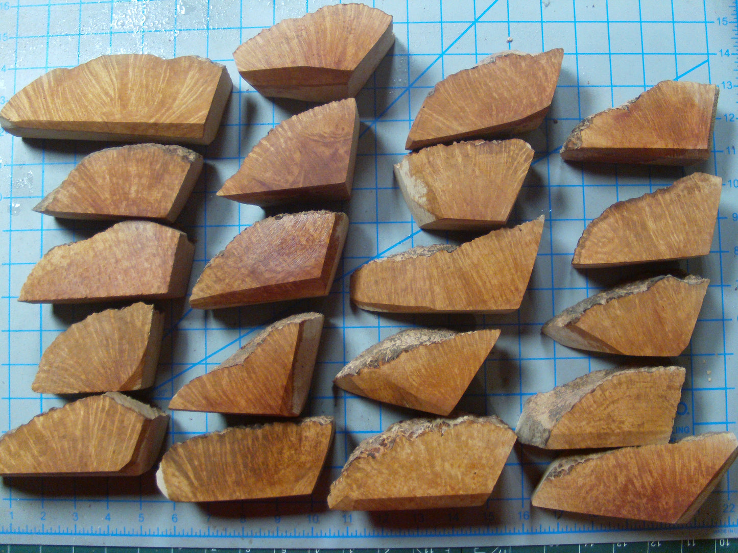 20 Algerian Briar Blocks Grade 1 Size Mini lot 4