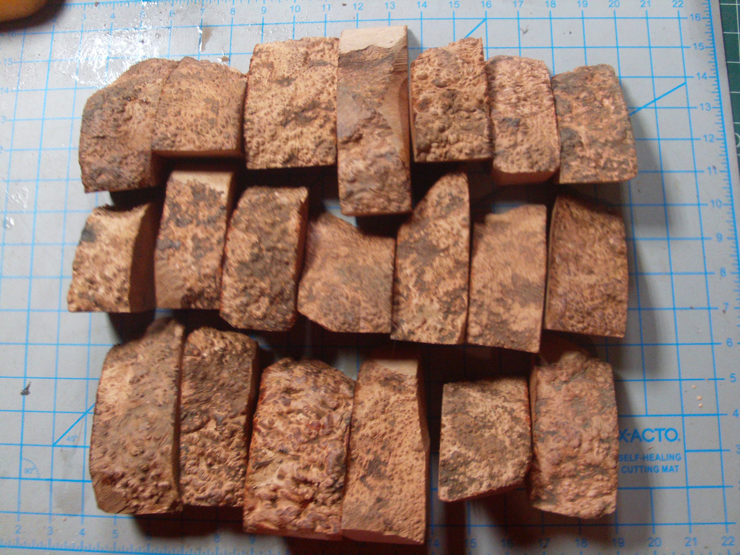 20 Algerian Briar Blocks Grade 1 Size Mini lot 4