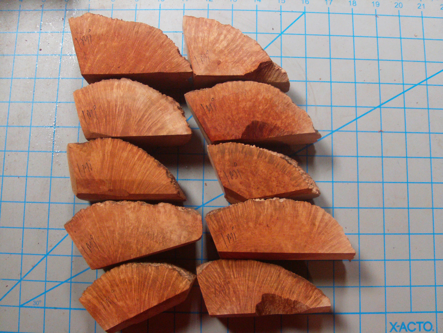 10 Algerian Briar Blocks Grade 1 Size Mini Lot 3