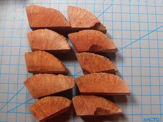 10 Algerian Briar Blocks Grade 1 Size Mini Lot 3