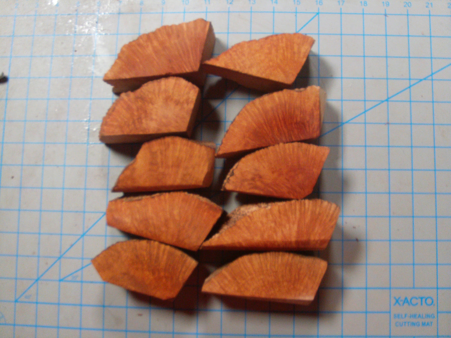 10 Algerian Briar Blocks Grade 1 Size Mini Lot 3
