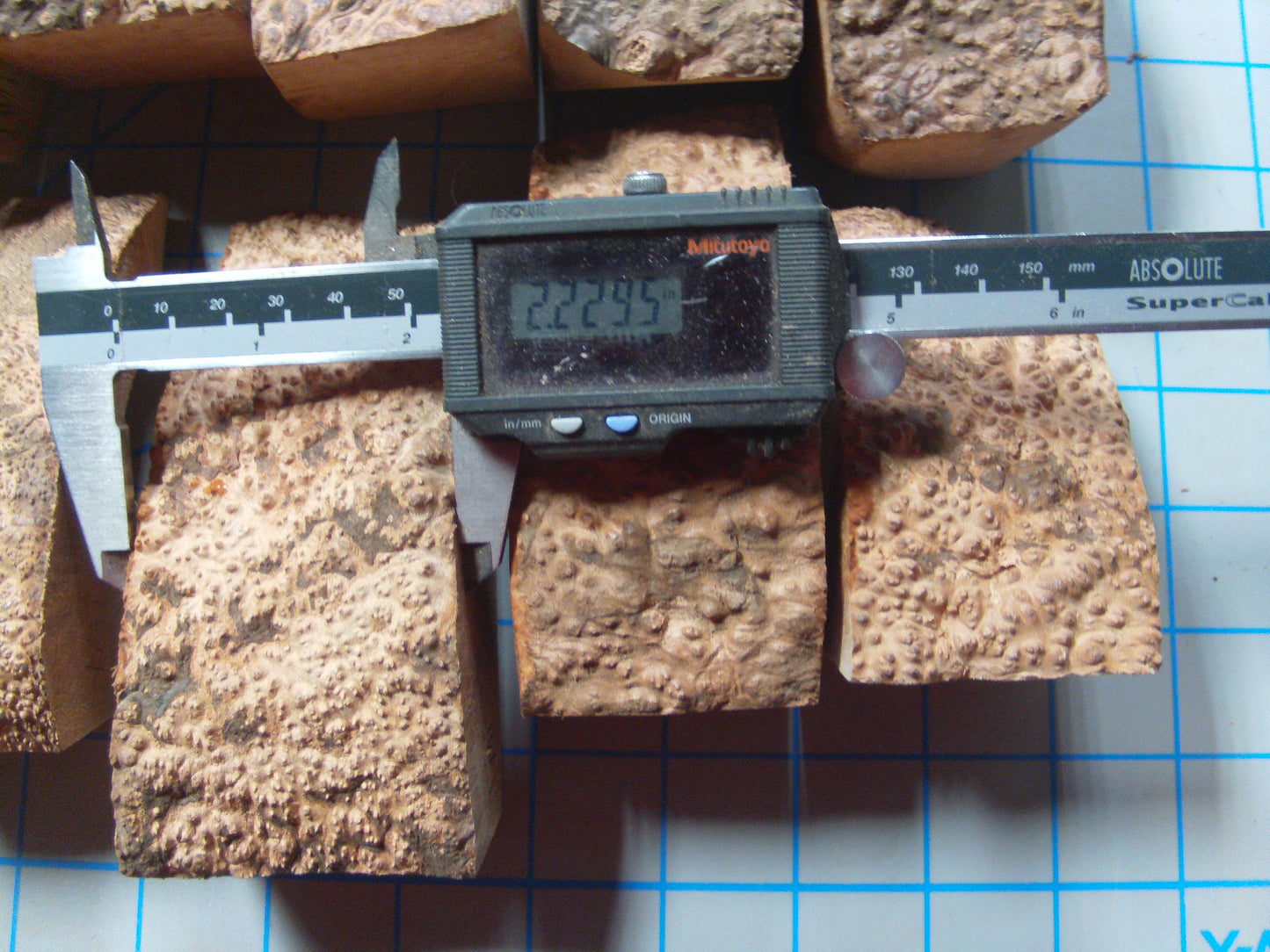 10 Algerian Briar Blocks Grade 1 Size Mini Lot 3